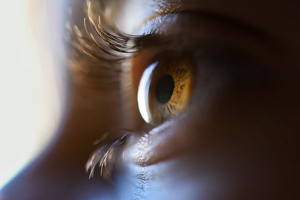 Newborn's vision development